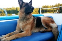 Happy Birthday to my sweet boy