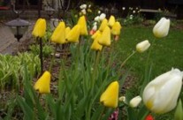 Spring has Sprung