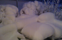 Let it snow….