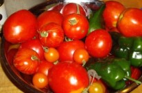 Ratatouille and summer veggies