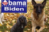 Teiko says Vote!