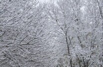 First snow of the winter
