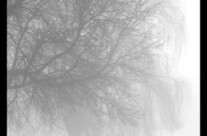 A foggy quiet Sunday