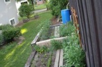How does the garden grow?