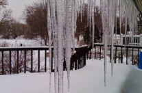 The Iceman Cometh