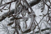 The Ice Storm Cometh