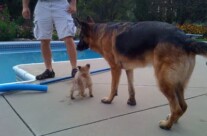 Teiko’s Mini Me