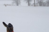 Ohmigod, the snow just keeps coming…